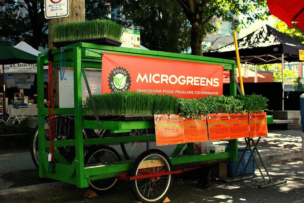 7. Microgreens Crop Planning for Farmers Markets
